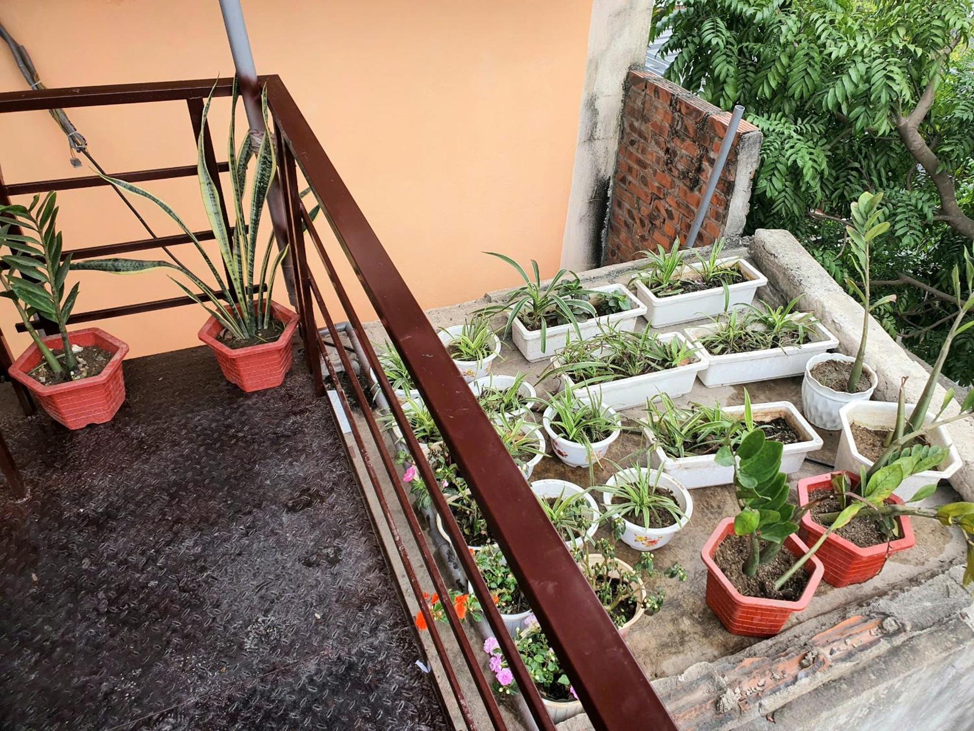 Jamerik Taco Bar - Hostel Ninh Binh Eksteriør bilde